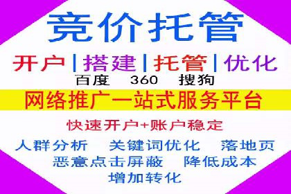 不同平台的SEM广告投放比较及成功案例分析